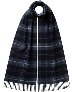 Johnstons of Elgin Fife Modern Tartan Cashmere Scarf - Blue