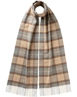 Johnstons of Elgin Natural Mackellar Tartan Cashmere Scarf - Brown
