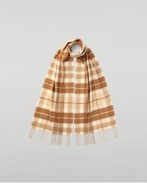Johnstons of Elgin Check Cashmere & Vicuña Scarf - Natural