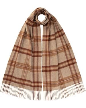 Johnstons of Elgin Wide Cashmere Tweed Scarf - Brown