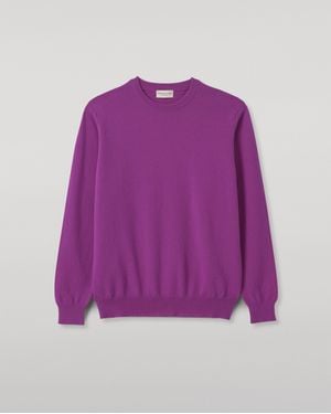Johnstons of Elgin Reuben Cashmere Crew Sweater - Purple