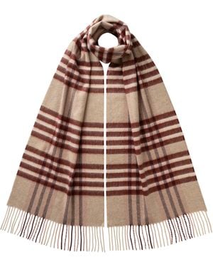 Johnstons of Elgin Grid Check Cashmere Scarf - Brown