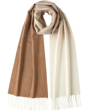 Johnstons of Elgin 85% Cashmere 15% Vicuña Ombré Scarf - Natural