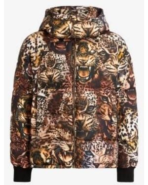 Roberto Cavalli Animal Print Hooded Puffer Jacket, Brand Size 50 Us - Brown