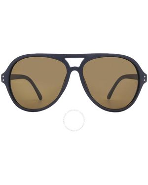 Calvin Klein Brown Pilot Sunglasses Ck19532s 410 58