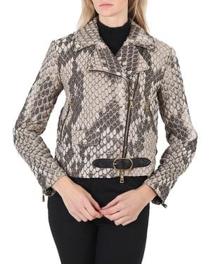 Roberto Cavalli Macro Python Print Cloquet Biker Jacket, Brand Size 38 Us - Grey