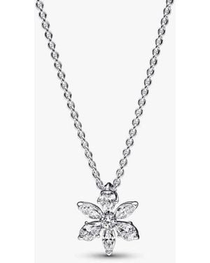 PANDORA Herbarium Cluster Sterling Collier - Metallic