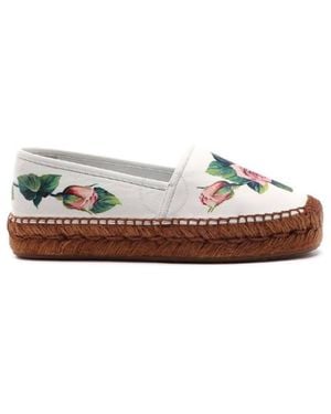 Dolce & Gabbana Open Box - Brown