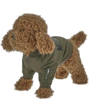 Moschino Pets Capsule Bomber Jacket, Brand - Green