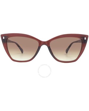 Calvin Klein Brown Gradient Butterfly Sunglasses Ck22551s 210 55