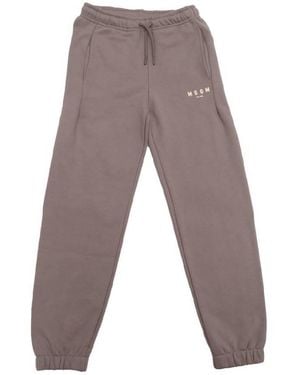 MSGM Logo Print Cotton Sweat Pants - Gray
