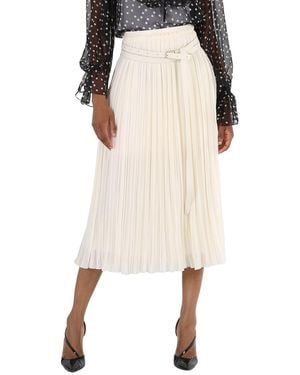 Chloé Ladies Eden Pleated Mid-Length Skirt, Brand Size 38 (Us - Natural
