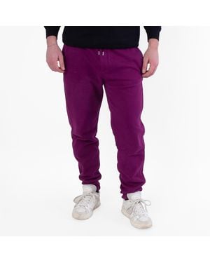 Saint Laurent Fuchsia Embroidered-Logo Cotton Track Trousers - Purple