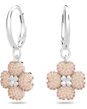 Swarovski Ladies Latisha Hoop Earrings - Multicolour