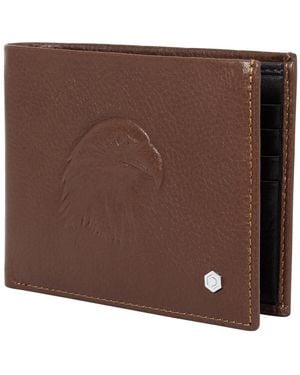 Picasso and Co Gift Set - Brown