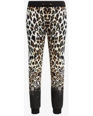 Roberto Cavalli Leopard Print Cotton Track Pants - Black