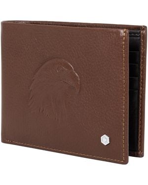 Picasso and Co Gift Set - Brown