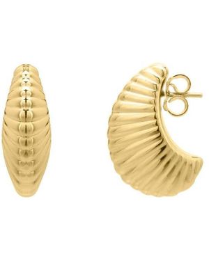 Tresorra 14K Graduated Puffy Ribbed Shell Hoop Earrings - Metallic