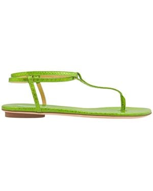Giannico Ladies Kai Flip Flops Leather Flats, Brand Size 38 (Us - Green