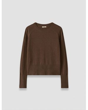 JOSEPH Melby Light Pure Cashmere Jumper - Brown