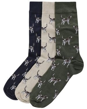 Barbour Pointer Dog Socks 3 Pack - Green