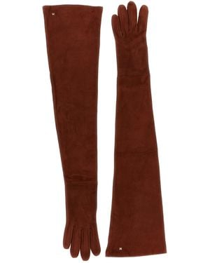 Max Mara Guanti Lunghi 'Estremo' Marroni - Marrone