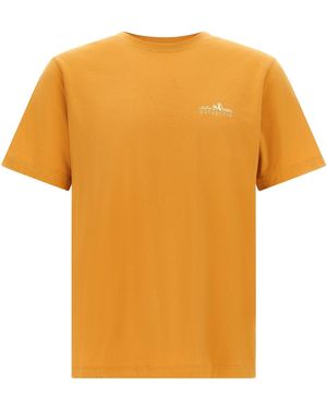 Patagonia T-Shirt With Fitz Roy Print - Orange