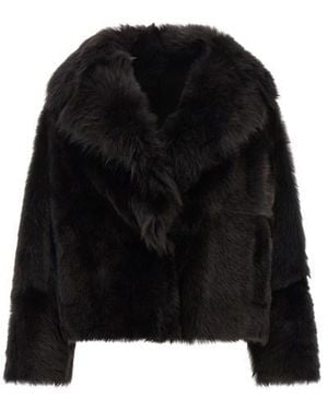 Blancha Pelliccia 'Toscana' - Nero