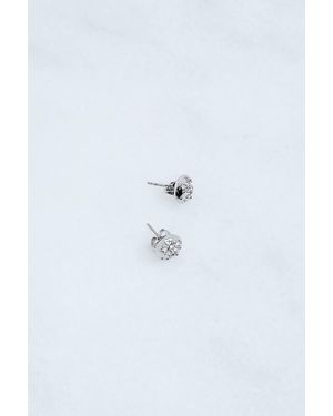Karen Millen Hand Set European Crystal Sprinkle Stud Earrings - Blue