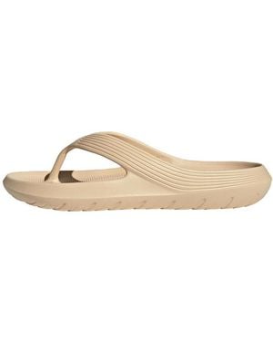 adidas Adicane Flip Flop 'Sand Strata' - Natural