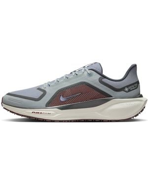 Nike Air Zoom Pegasus 41 Gore-Tex 'Light Pumice Ashen Slate Burgundy' - Grey