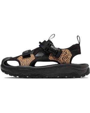 Converse Msd Cp - Black