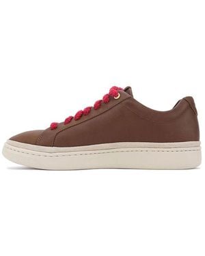 UGG Cali Trainer Low 'Chestnut' - Brown
