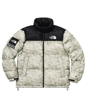 Supreme Fw19 Week 18 X The North Face Paper Print Nuptse Jacket - Metallic