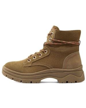 Skechers (Wmns) Bobs Broadies - Brown