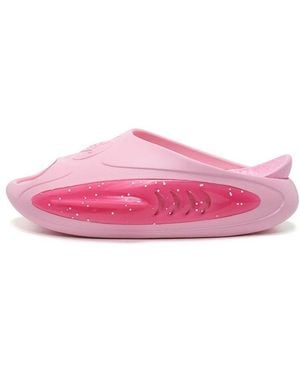 Rigorer Shark 2 '520 Special Box' - Pink
