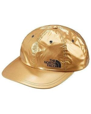 Supreme X The North Face Metallic 6-Panel ''