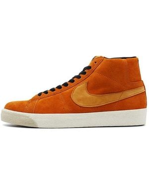 Nike Blazer Premium Sb 'Lance Mountain' - Brown