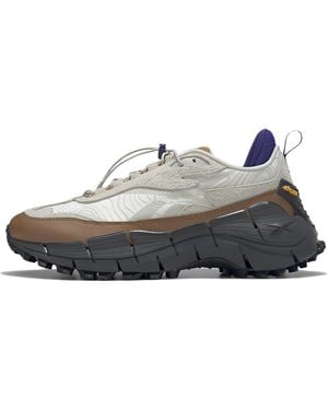 Reebok Zig Kinetica 2.5 Edge 'Chalk Wild' - Gray