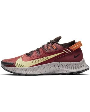 Nike Pegasus Trail 2 - Brown