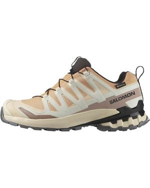 Salomon Xa Pro 3D V9 Gtx 'Hazelnut Tender Peach' - Brown