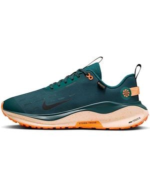 Nike Reactx Infinity Run 4 Gore-Tex 'Deep Jungle Total' - Blue
