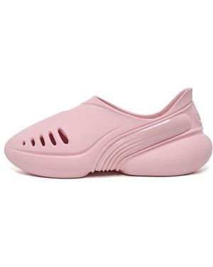 Rigorer Dongdong - Pink