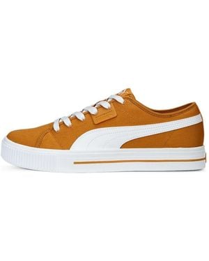 PUMA Ever Fs Cv - Brown