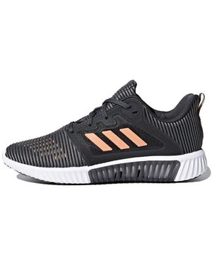 adidas (Wmns) Climacool Vent - Blue