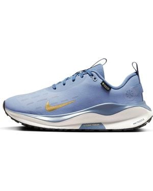 Nike (Wmns) Reactx Infinity Run 4 Gore-Tex 'Ashen Slate Metallic' - Blue