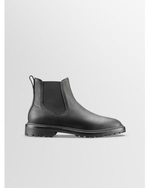 KOIO Fermo In Nero - Multicolor