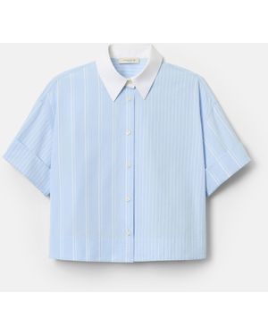 Lafayette 148 New York Striped Cotton Button Up Short Sleeve Shirt - Blue
