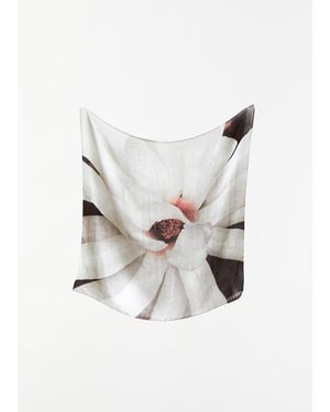 Casey Casey Exclusive Silk Cashmere Scarf - White