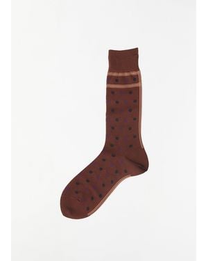 Antipast Men Classic Dot Socks - Brown